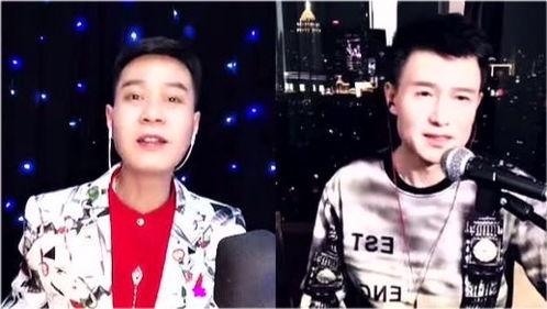 南哥视频,揭秘生活百态，探寻人生哲理