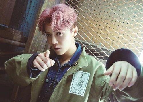 鹿晗爆料视频大全