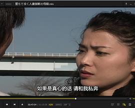 堕美人妻在线播放