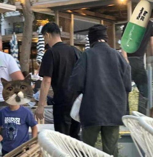 陆文臣被爆料了吗视频,真相究竟如何？